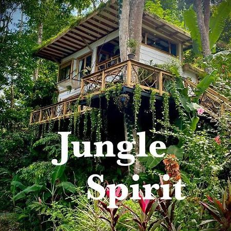 Jungle Spirit Treehouse Villa Cahuita Ngoại thất bức ảnh