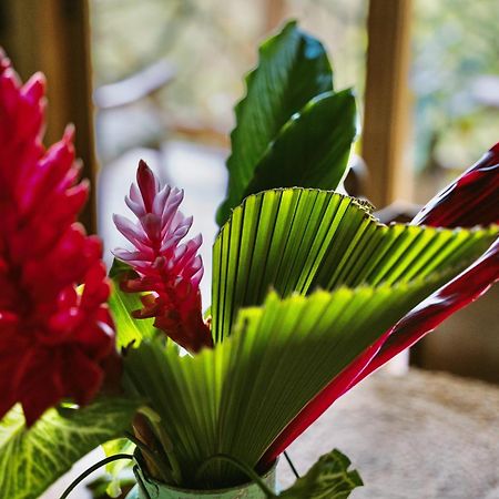 Jungle Spirit Treehouse Villa Cahuita Ngoại thất bức ảnh