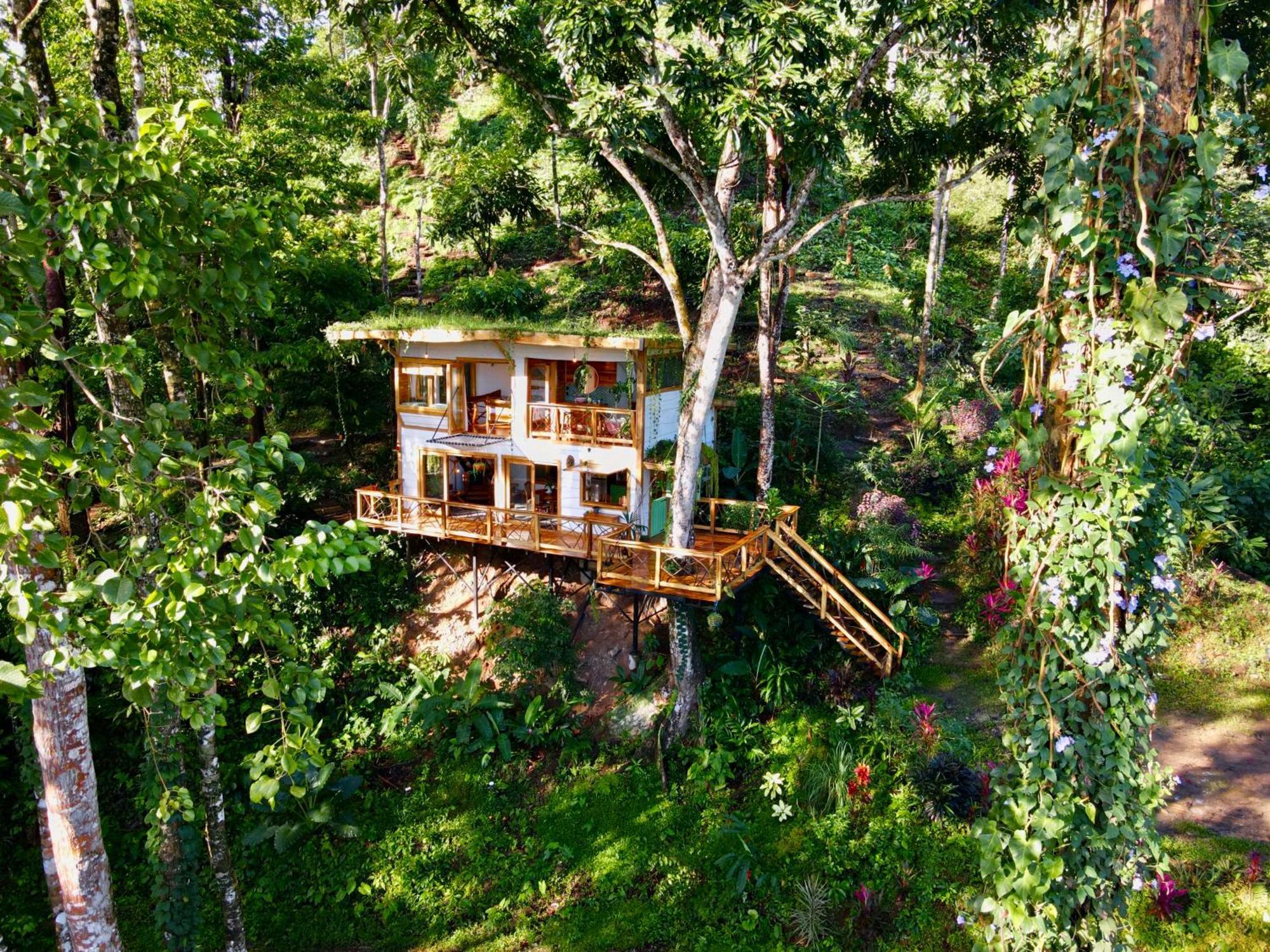 Jungle Spirit Treehouse Villa Cahuita Ngoại thất bức ảnh