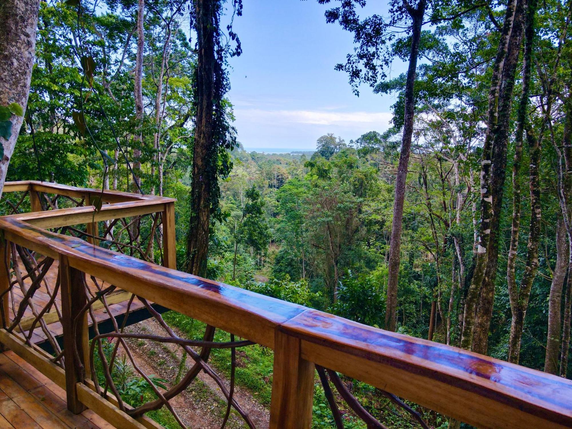 Jungle Spirit Treehouse Villa Cahuita Ngoại thất bức ảnh