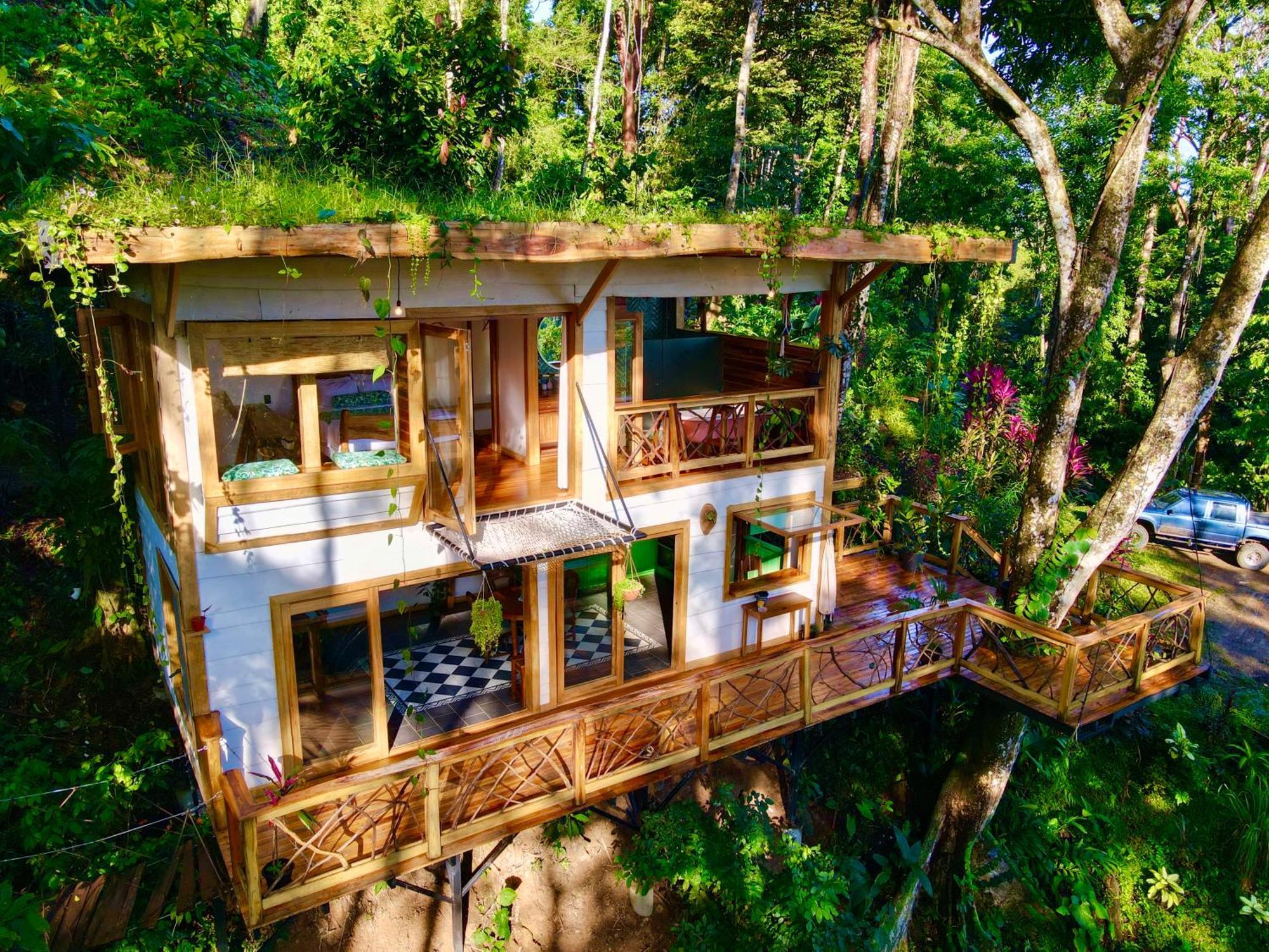 Jungle Spirit Treehouse Villa Cahuita Ngoại thất bức ảnh
