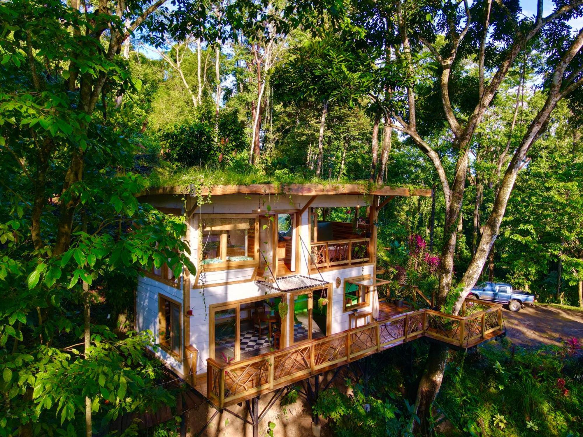 Jungle Spirit Treehouse Villa Cahuita Ngoại thất bức ảnh