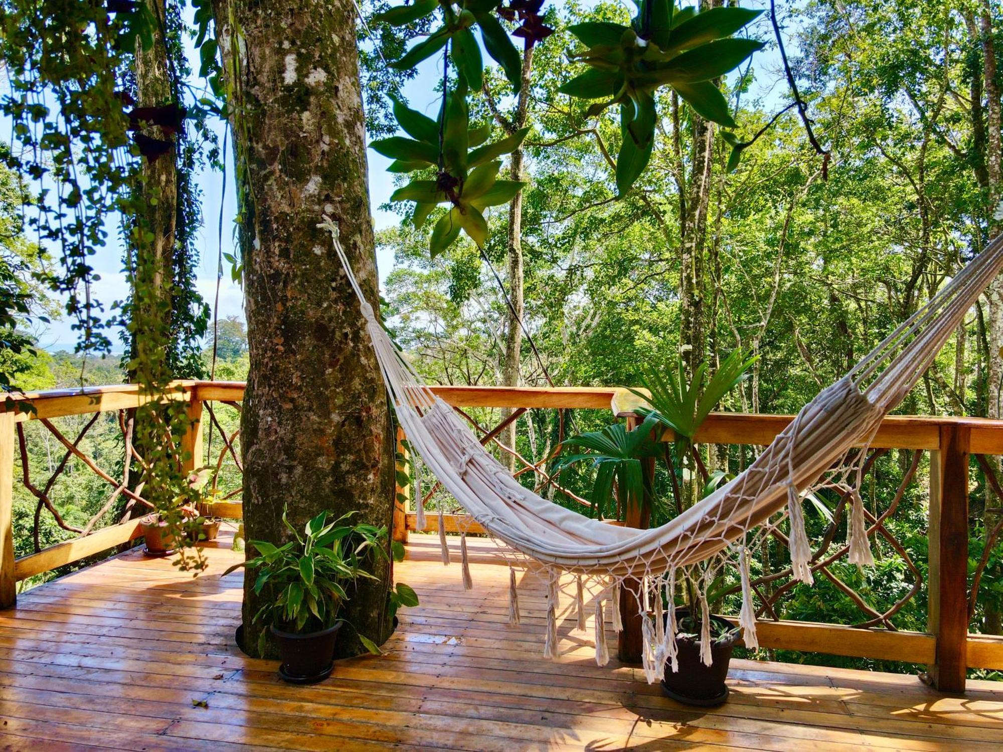 Jungle Spirit Treehouse Villa Cahuita Ngoại thất bức ảnh