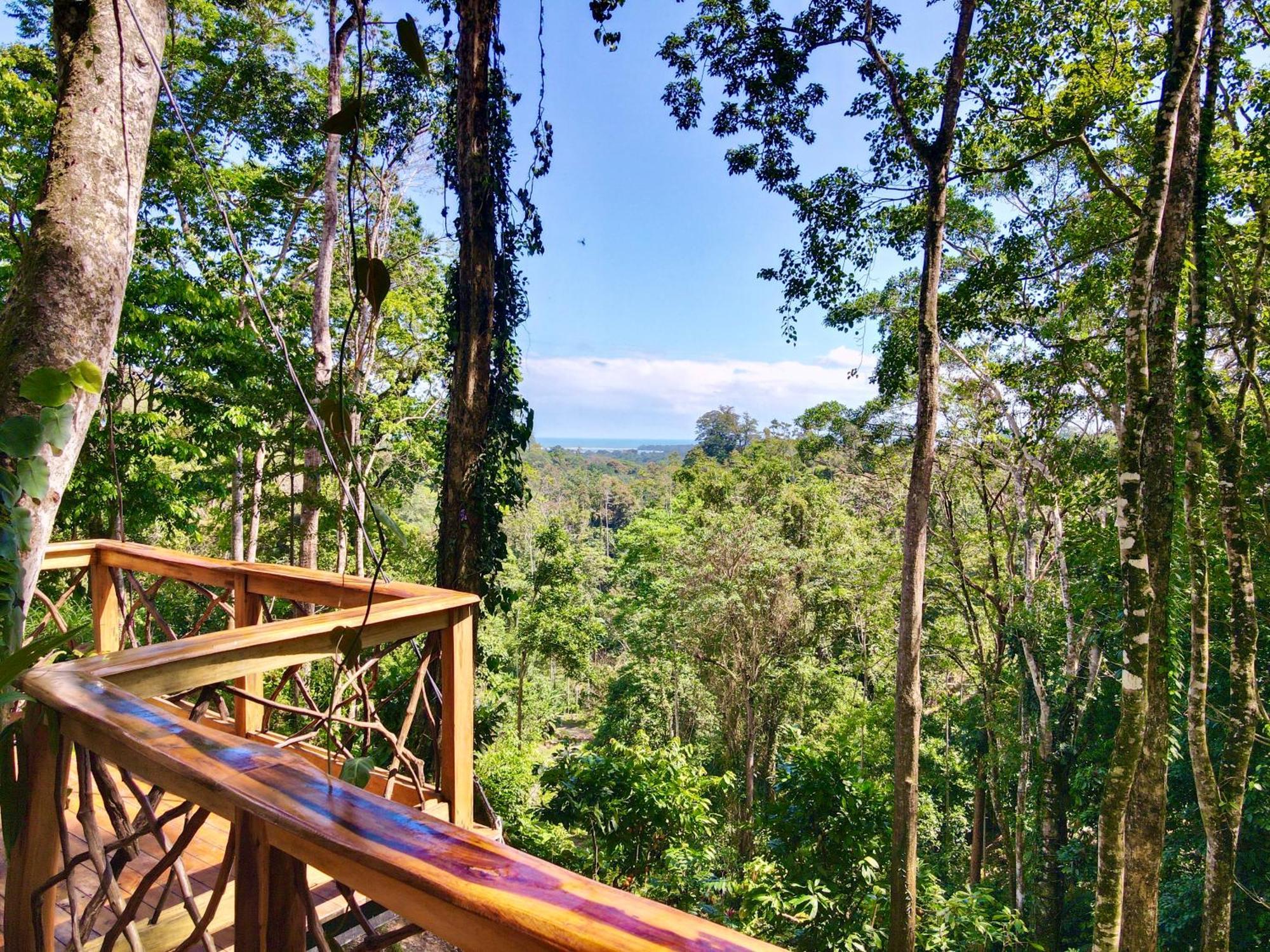 Jungle Spirit Treehouse Villa Cahuita Ngoại thất bức ảnh