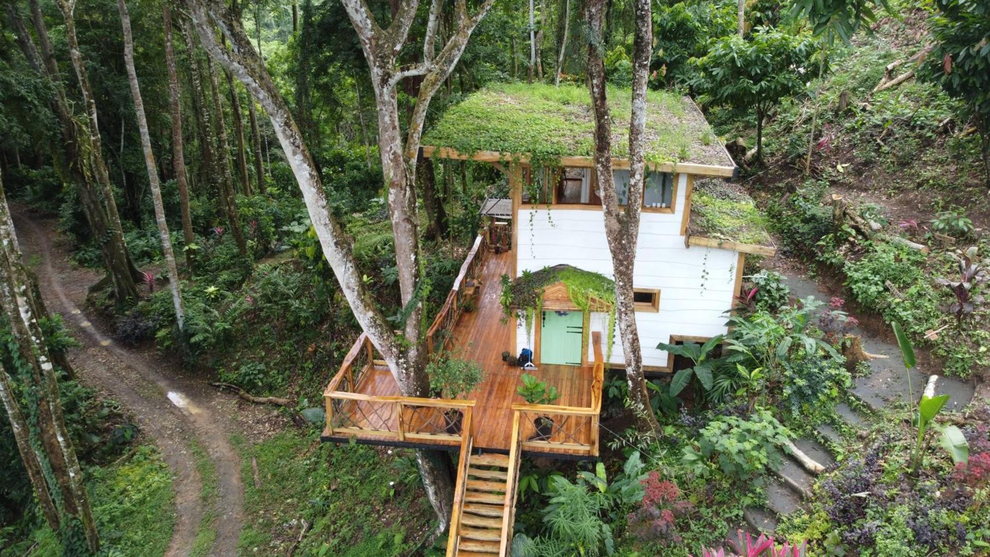 Jungle Spirit Treehouse Villa Cahuita Ngoại thất bức ảnh