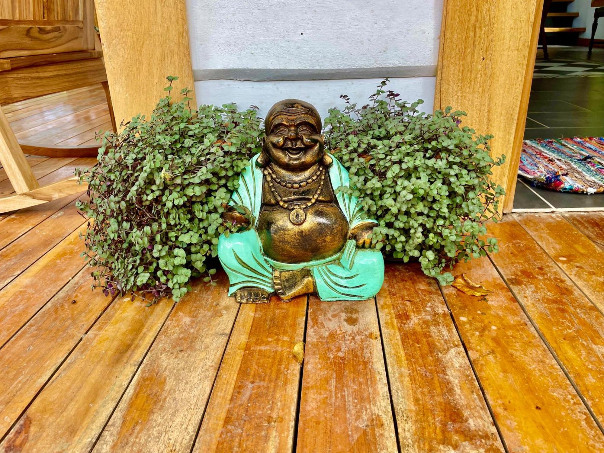 Jungle Spirit Treehouse Villa Cahuita Ngoại thất bức ảnh
