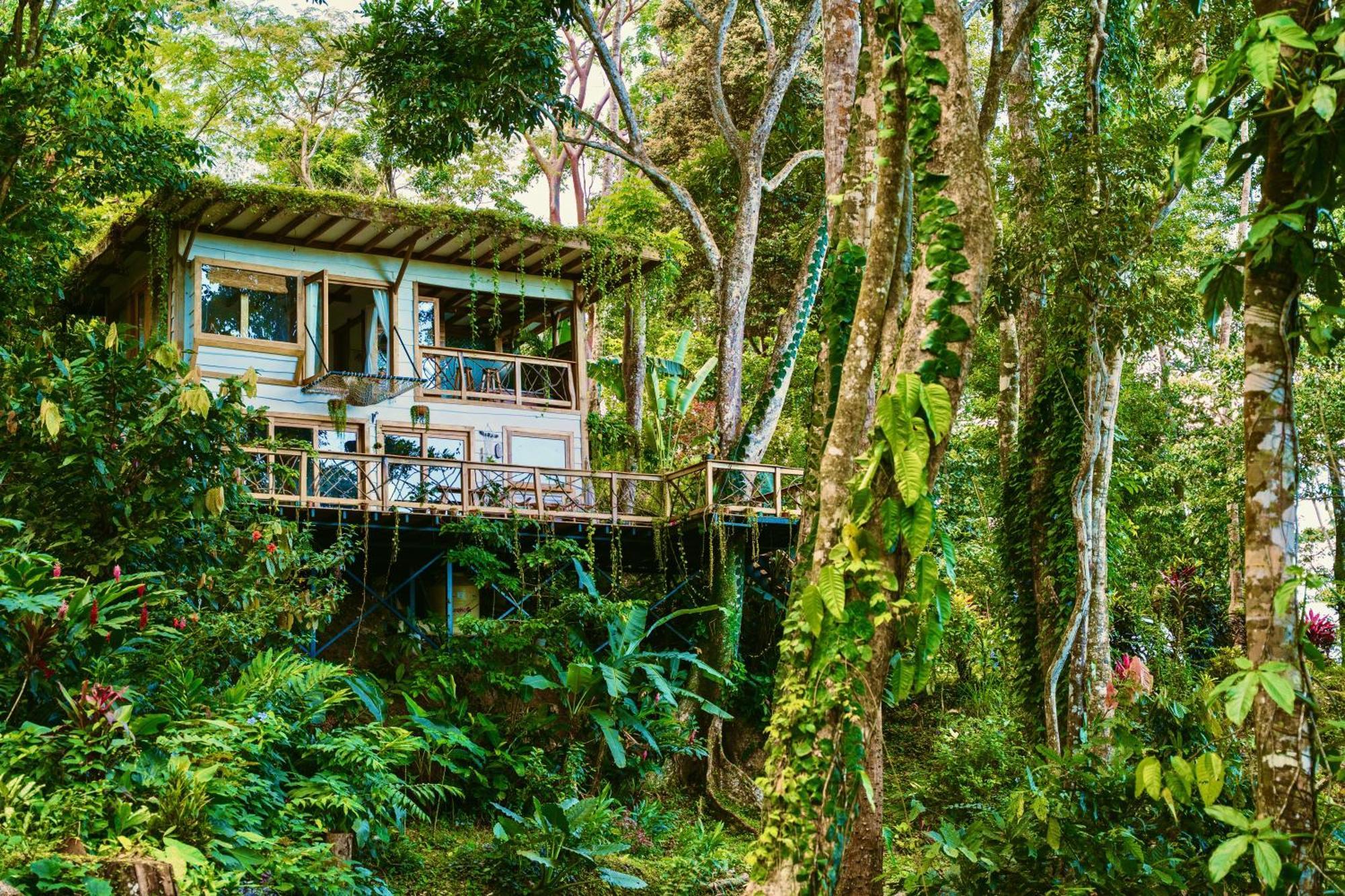 Jungle Spirit Treehouse Villa Cahuita Ngoại thất bức ảnh