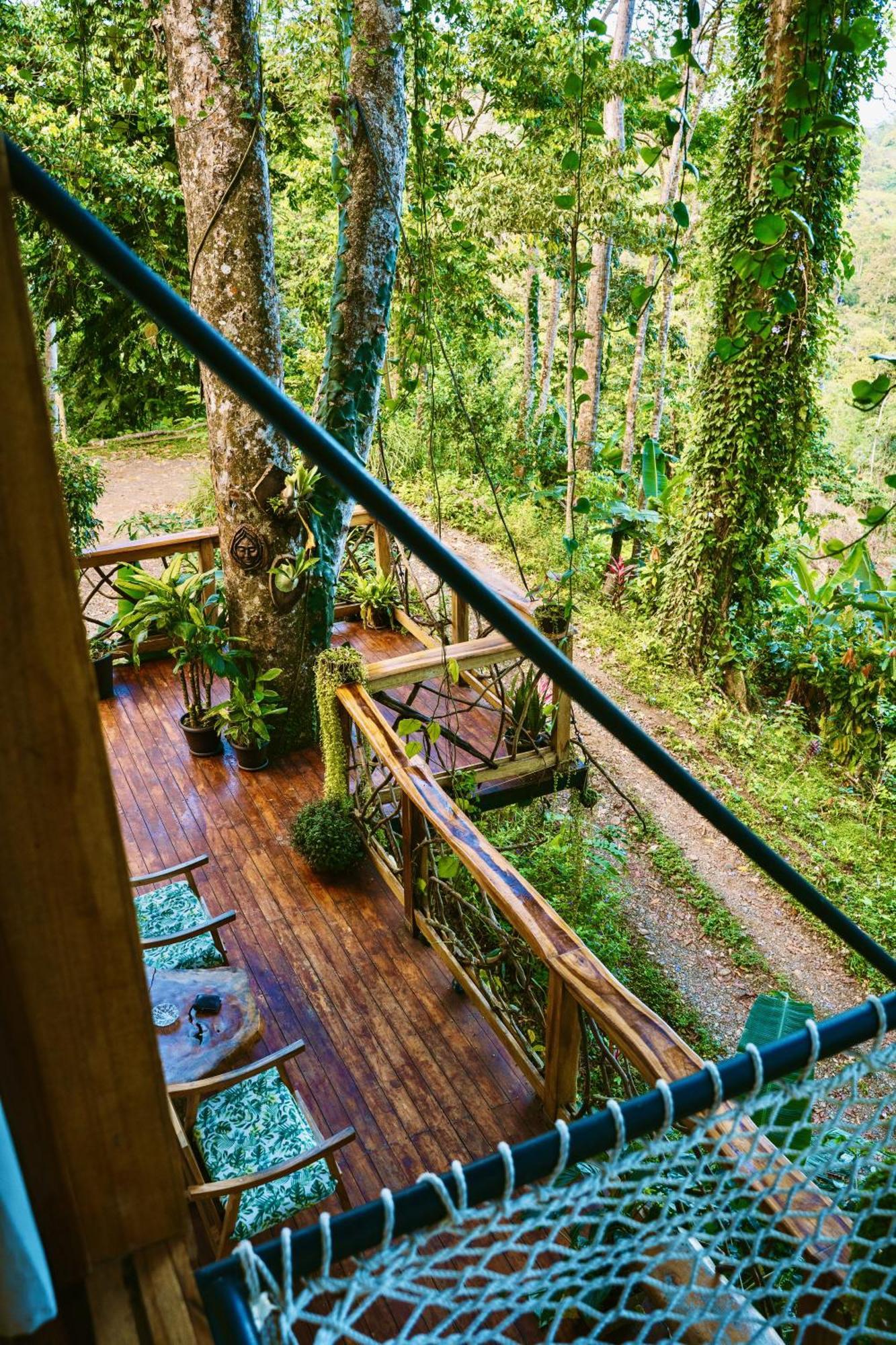 Jungle Spirit Treehouse Villa Cahuita Ngoại thất bức ảnh