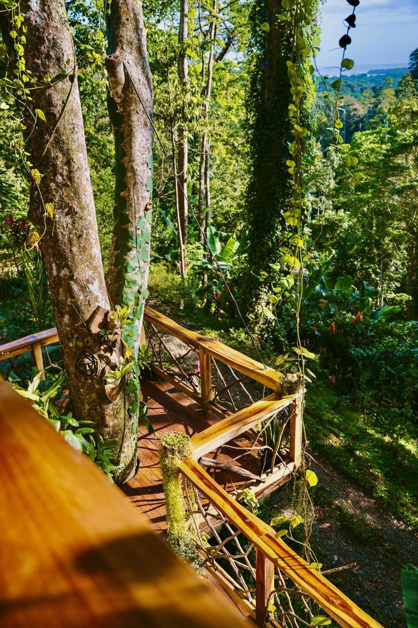 Jungle Spirit Treehouse Villa Cahuita Ngoại thất bức ảnh