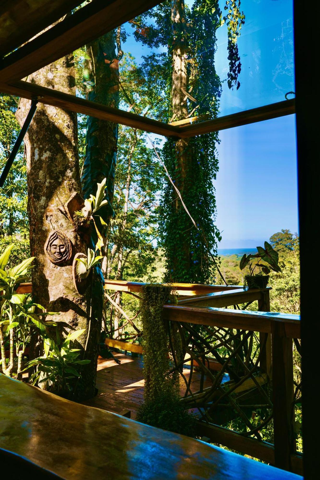 Jungle Spirit Treehouse Villa Cahuita Ngoại thất bức ảnh