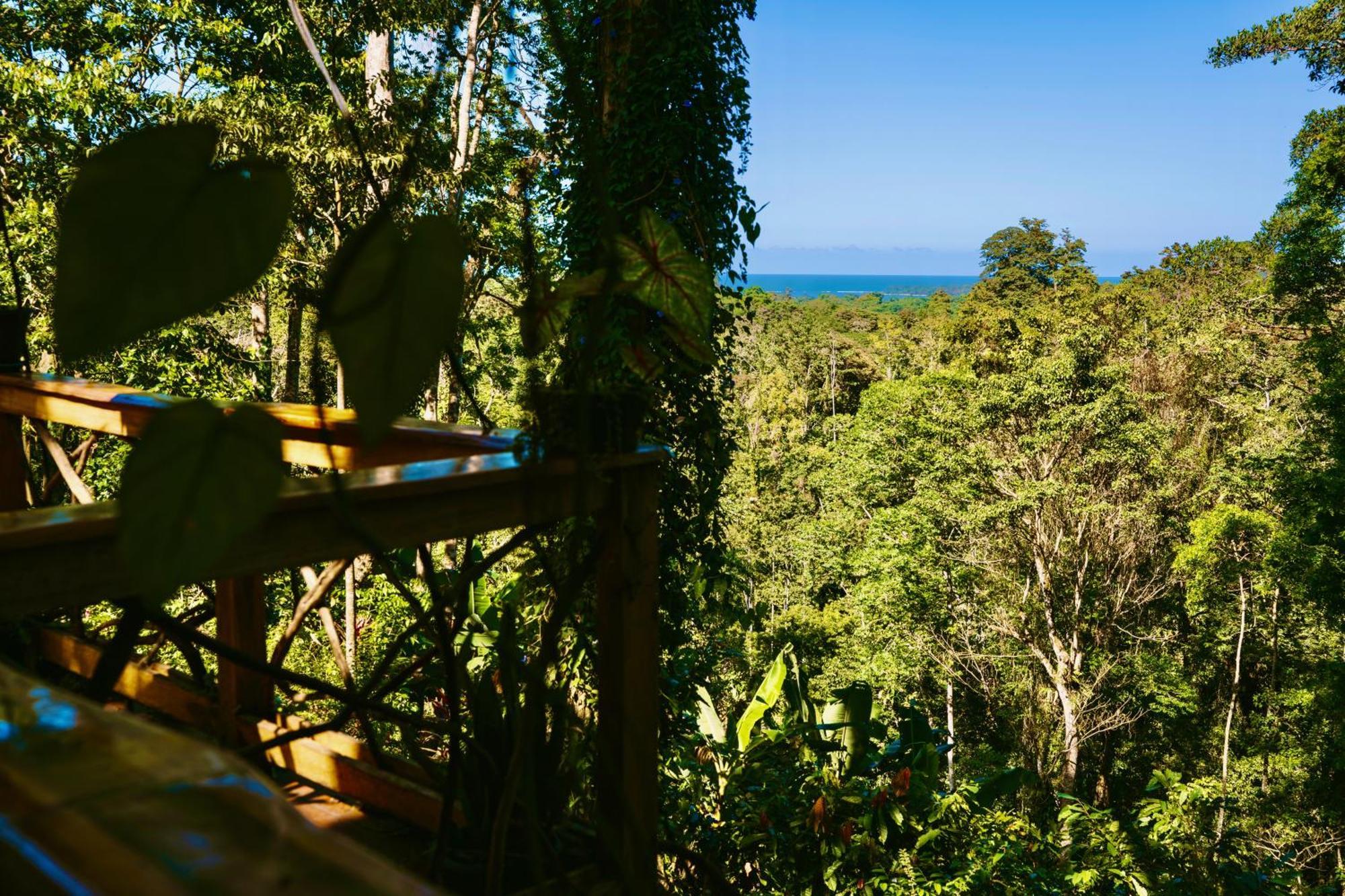 Jungle Spirit Treehouse Villa Cahuita Ngoại thất bức ảnh