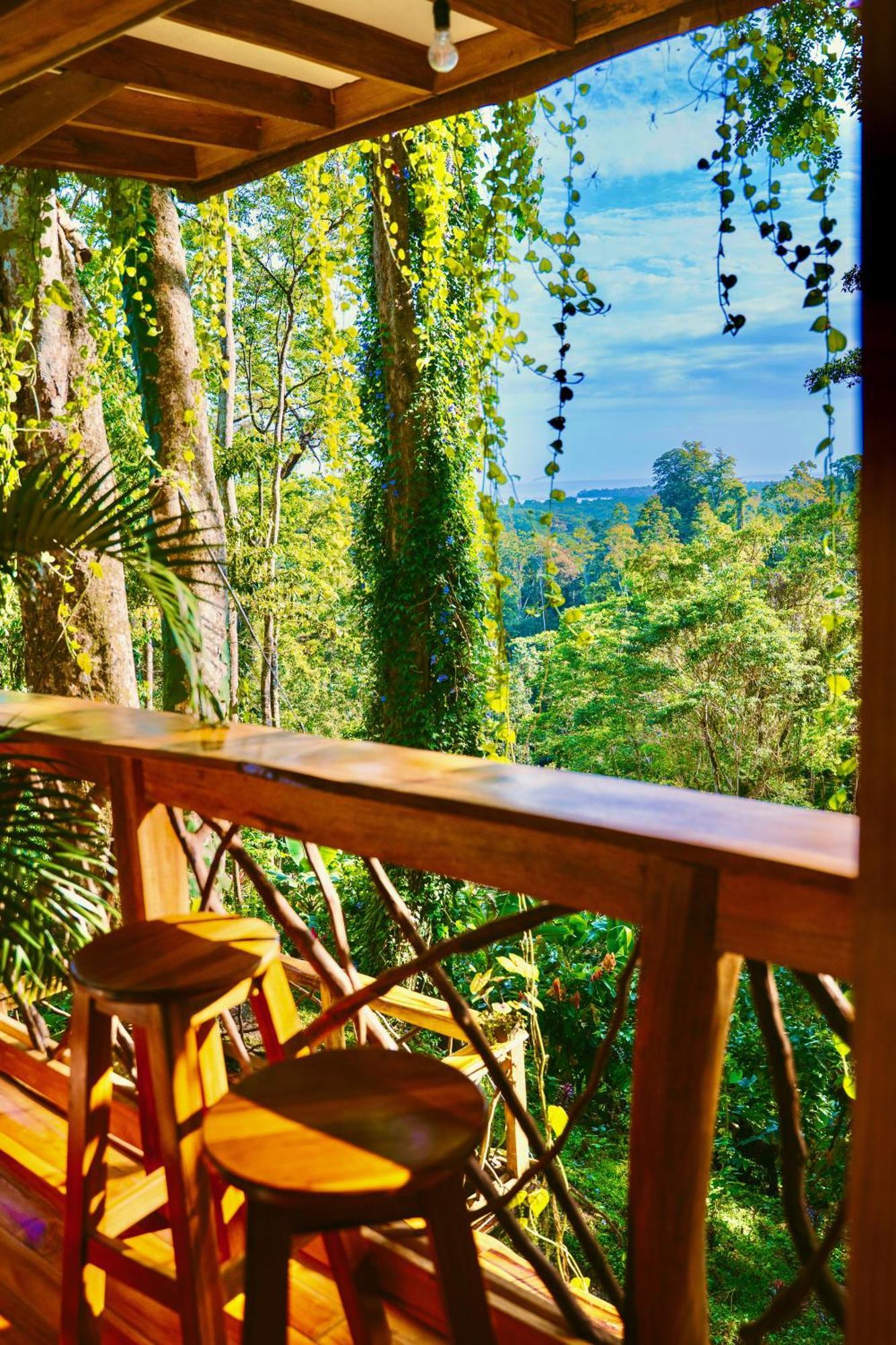 Jungle Spirit Treehouse Villa Cahuita Ngoại thất bức ảnh